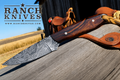 Buckaroo Damascus Compact Knife 6.25" – Handmade Damascus Steel Fixed Blade Knife with Rosewood Handle