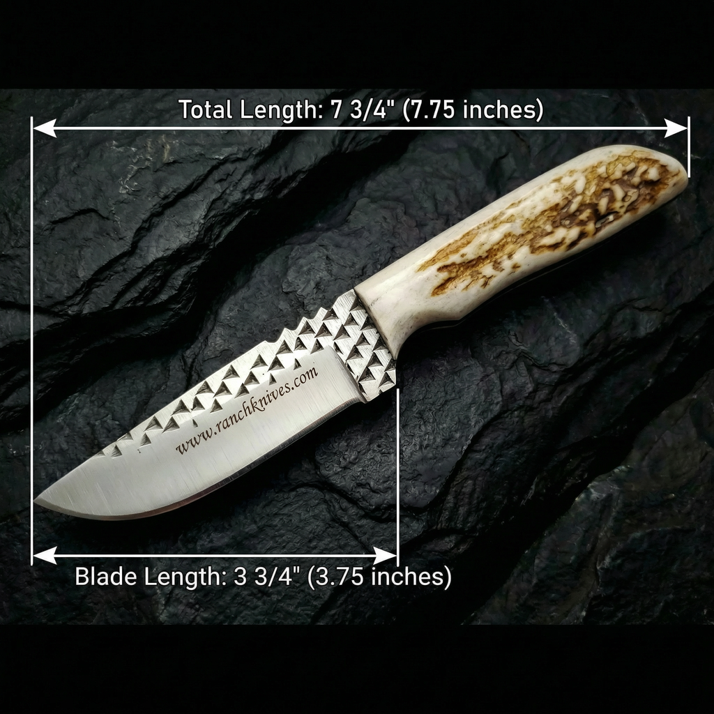 Diamondback Rasp Knife - Elk Antler Handle - 3 3/4" Blade - Horizontal Carry Leather Sheath - Ranch Knives- Cowboy knives