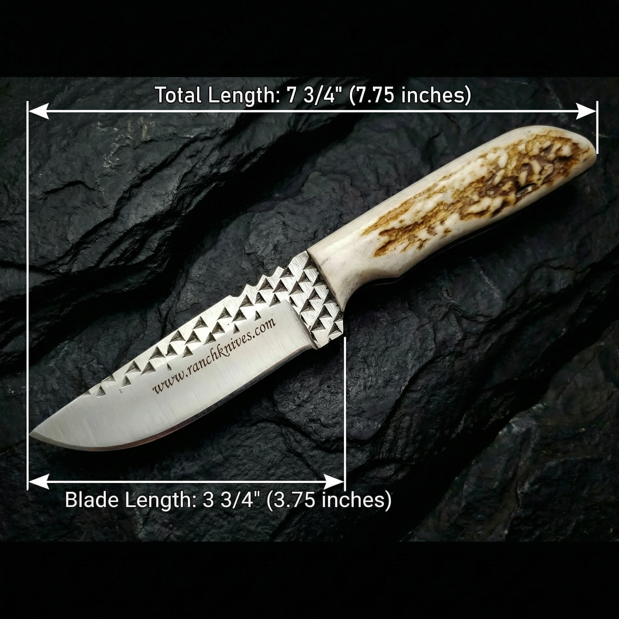 Diamondback Rasp Knife - Elk Antler Handle - 3 3/4" Blade - Horizontal Carry Leather Sheath - Ranch Knives- Cowboy knives